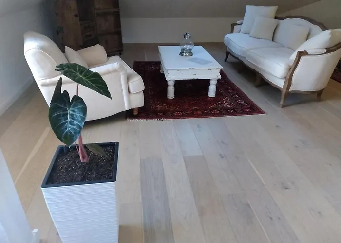 Villa-stern 4* קיוטשכן אם סי