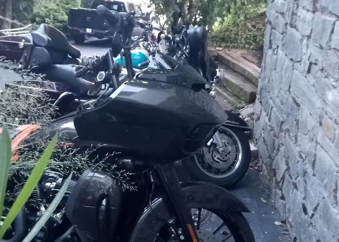 לינה וארוחת בוקר Villa-stern 4*